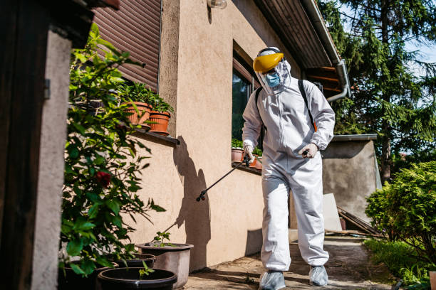 Best Rat Extermination Near Me  in Paola, KS