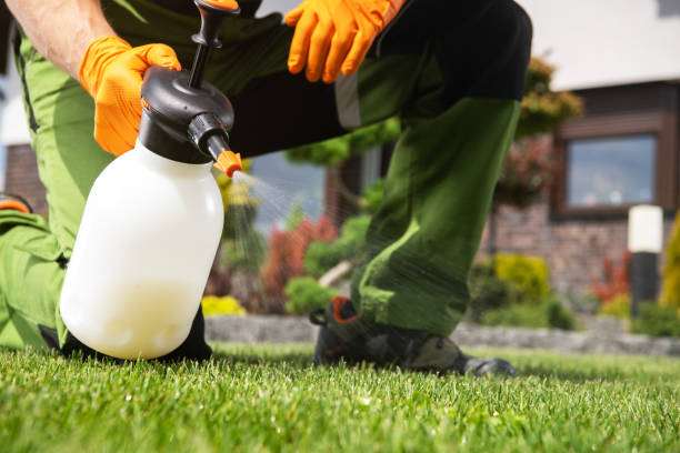 Best Affordable Pest Control Services  in Paola, KS