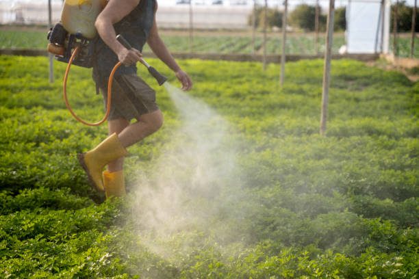Best Mosquito Control Services  in Paola, KS